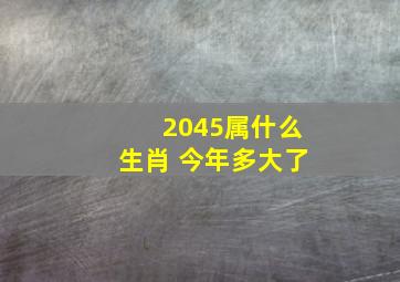 2045属什么生肖 今年多大了